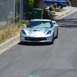 TortoiseandLizard ()